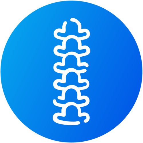 Chiropractors SEO
